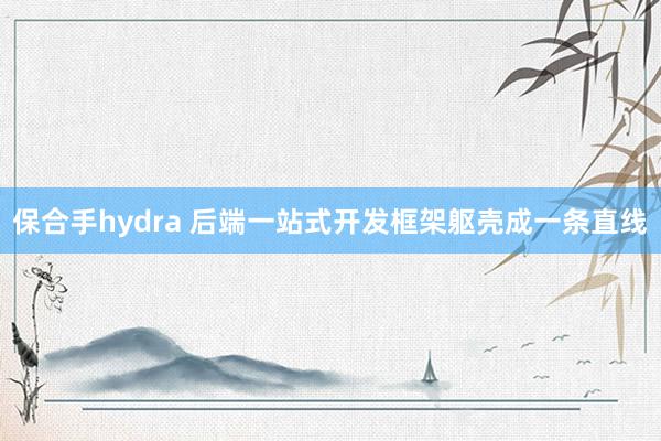保合手hydra 后端一站式开发框架躯壳成一条直线